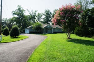 A Homeowner's Guide to Tree Care in Anne Arundel County