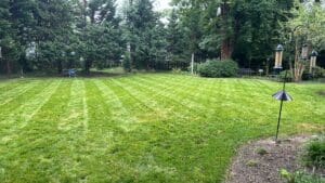 Why Lawn Maintenance Matters Year-Round in Anne Arundel, MD